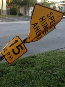 A metaphor for "life"?