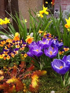 Beginning signs of springtime--