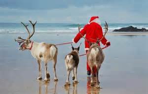 Christmas in Florida 